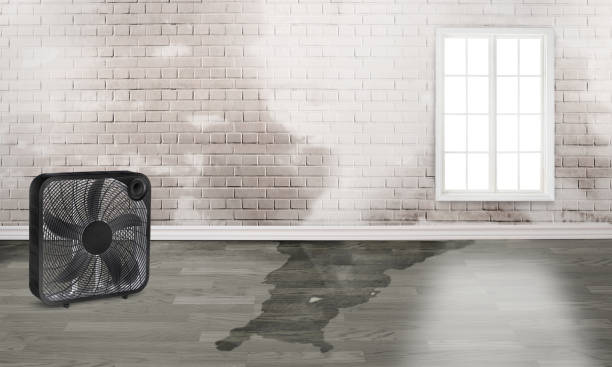Best Water damage repair service  in Cranston, RI