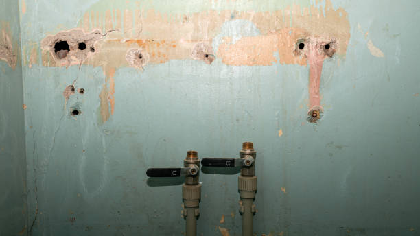 Best Mold removal after water damage  in Cranston, RI