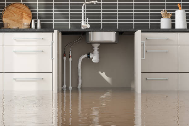 Best Water damage restoration near me  in Cranston, RI