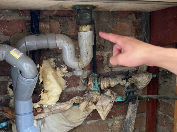 Best Flooded house restoration  in Cranston, RI